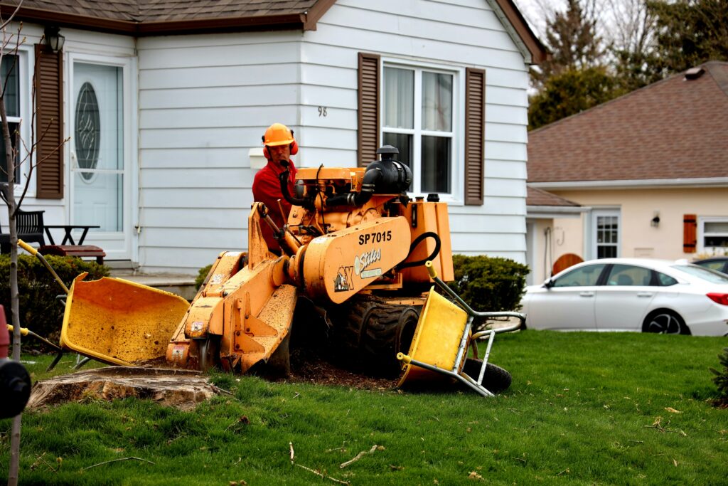 tree service Lincoln NE